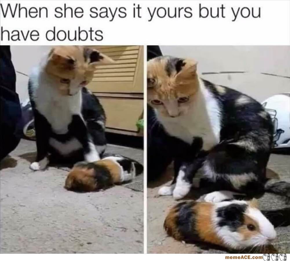 I Have My Doubts