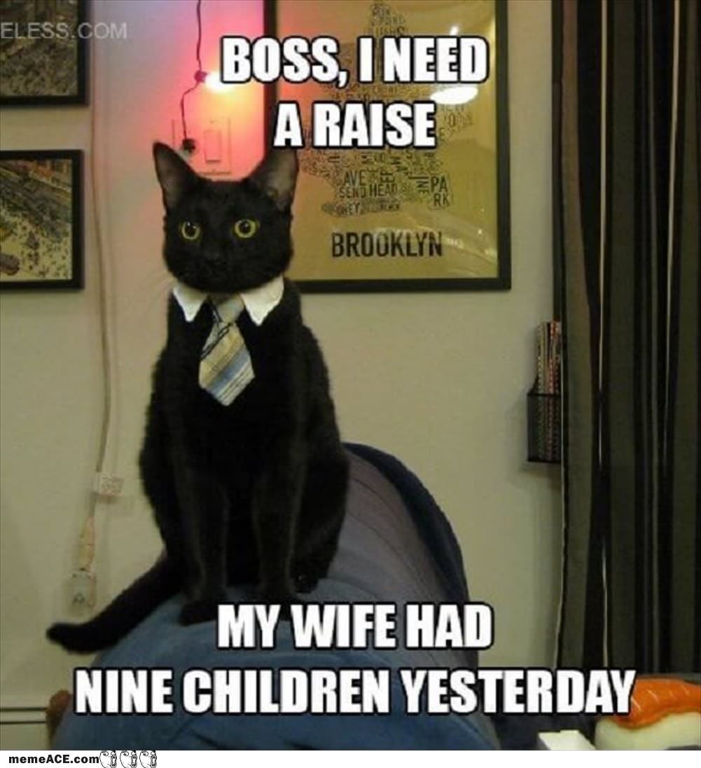 I Need A Raise