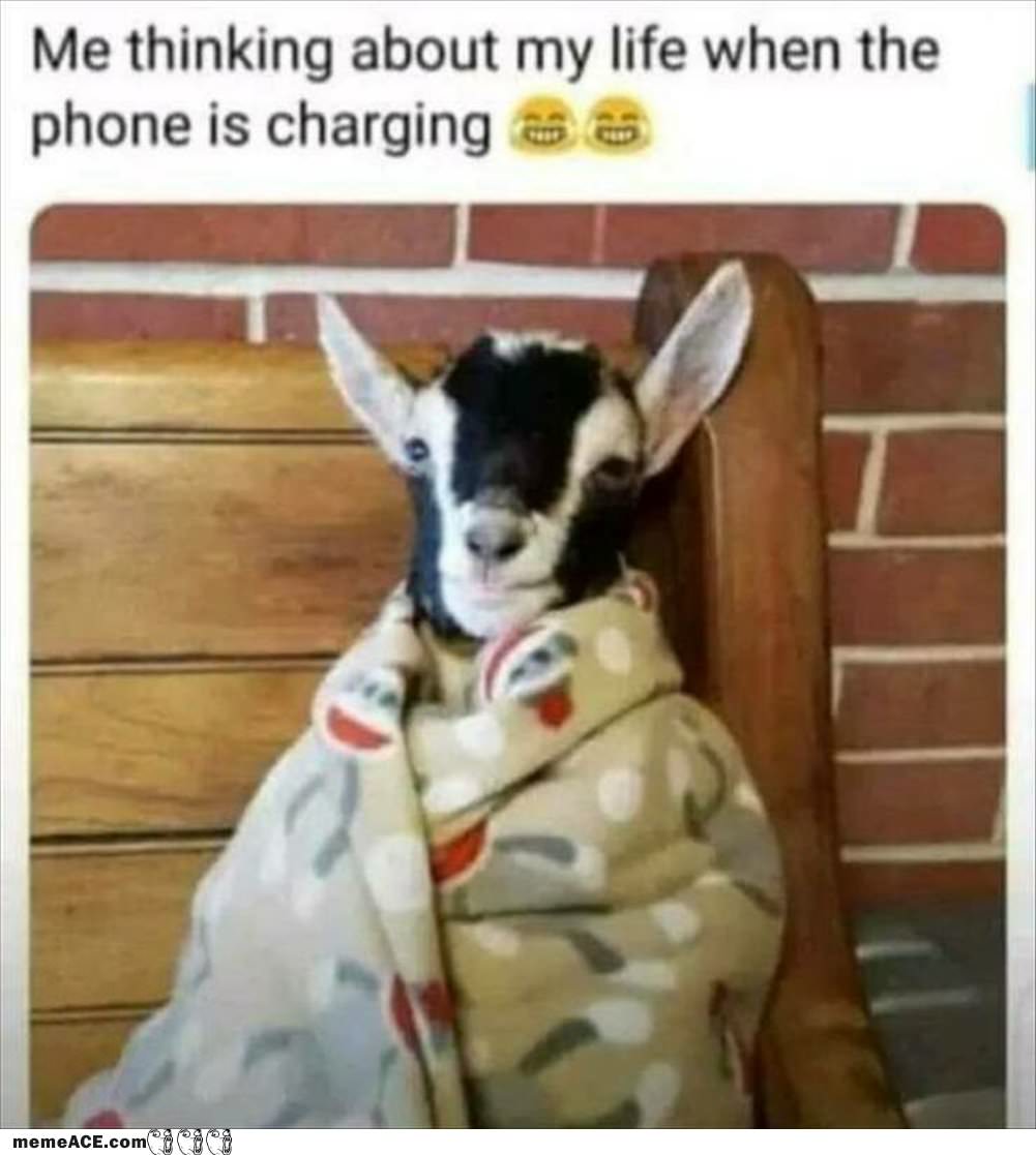 When The Phone  Is Charging