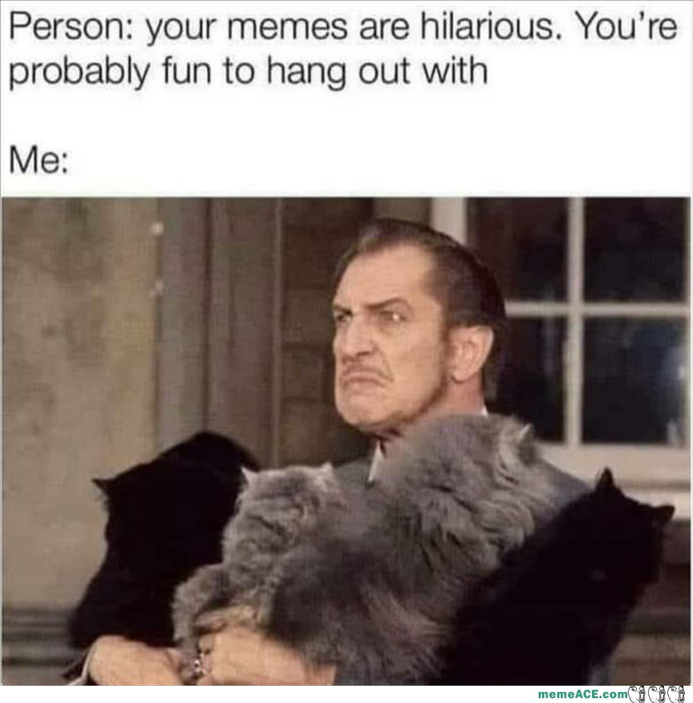 Your Memes Are Hilarious