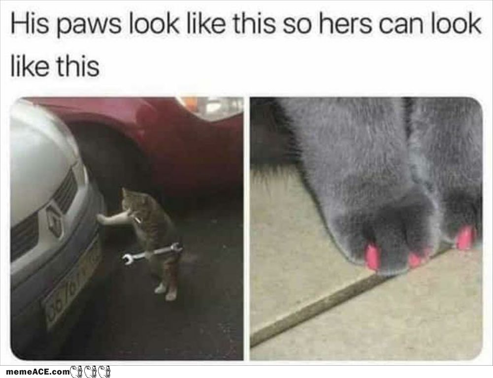 His Paws Look Like This