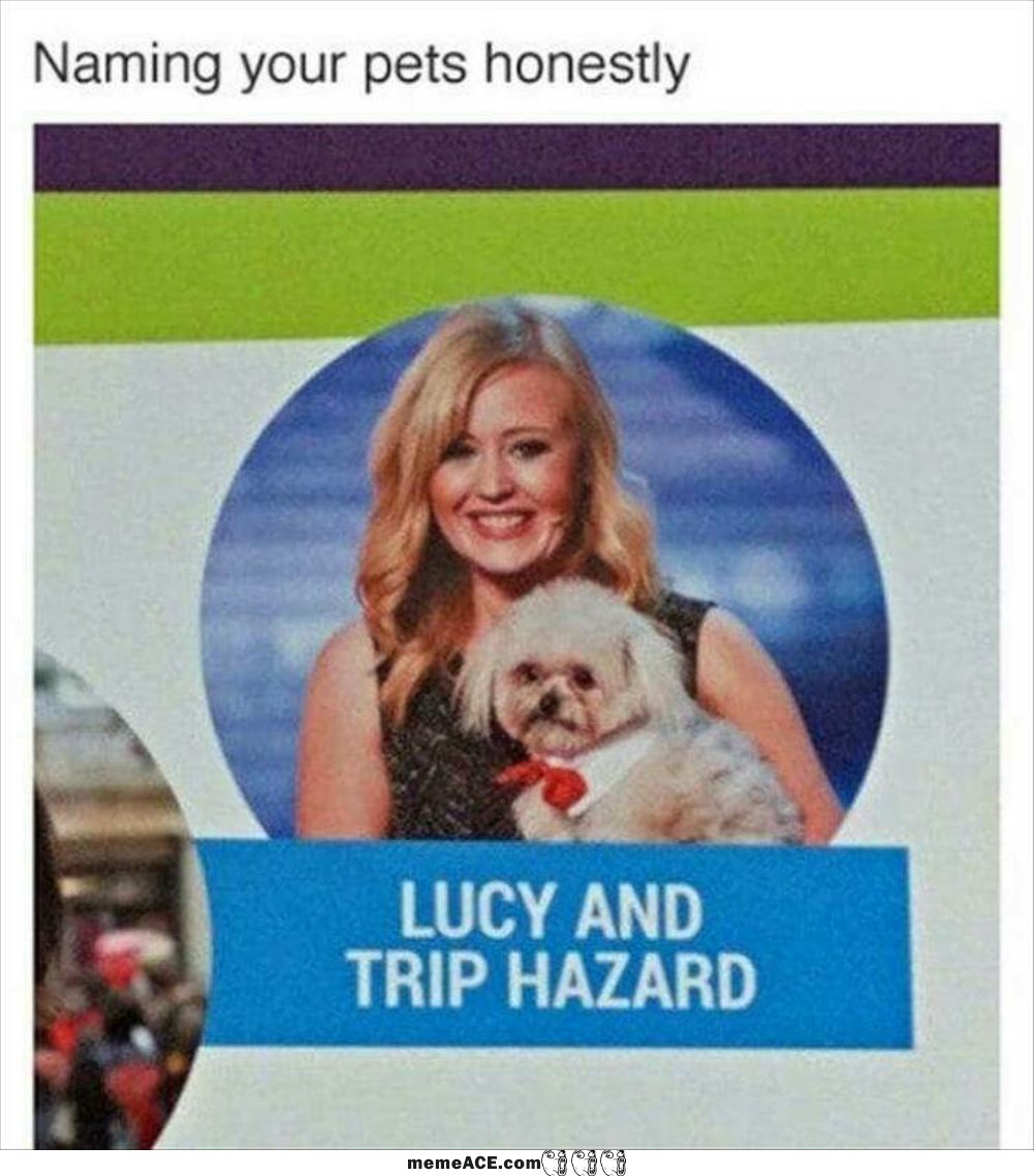 Lucy And Trip Hazard