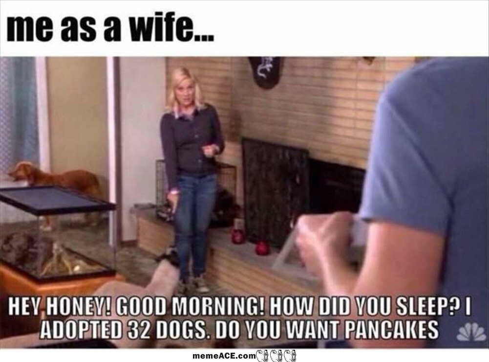 Me As A Wife
