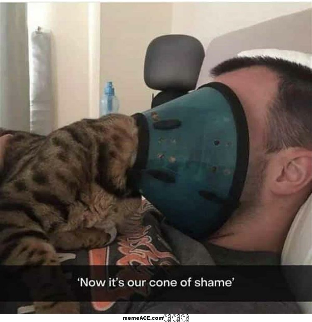 Our Cone Of Shame