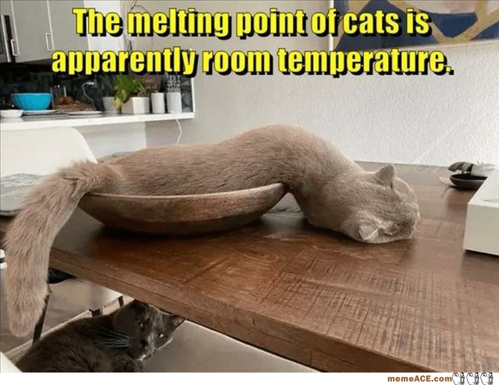 The Melting Point Of Cats