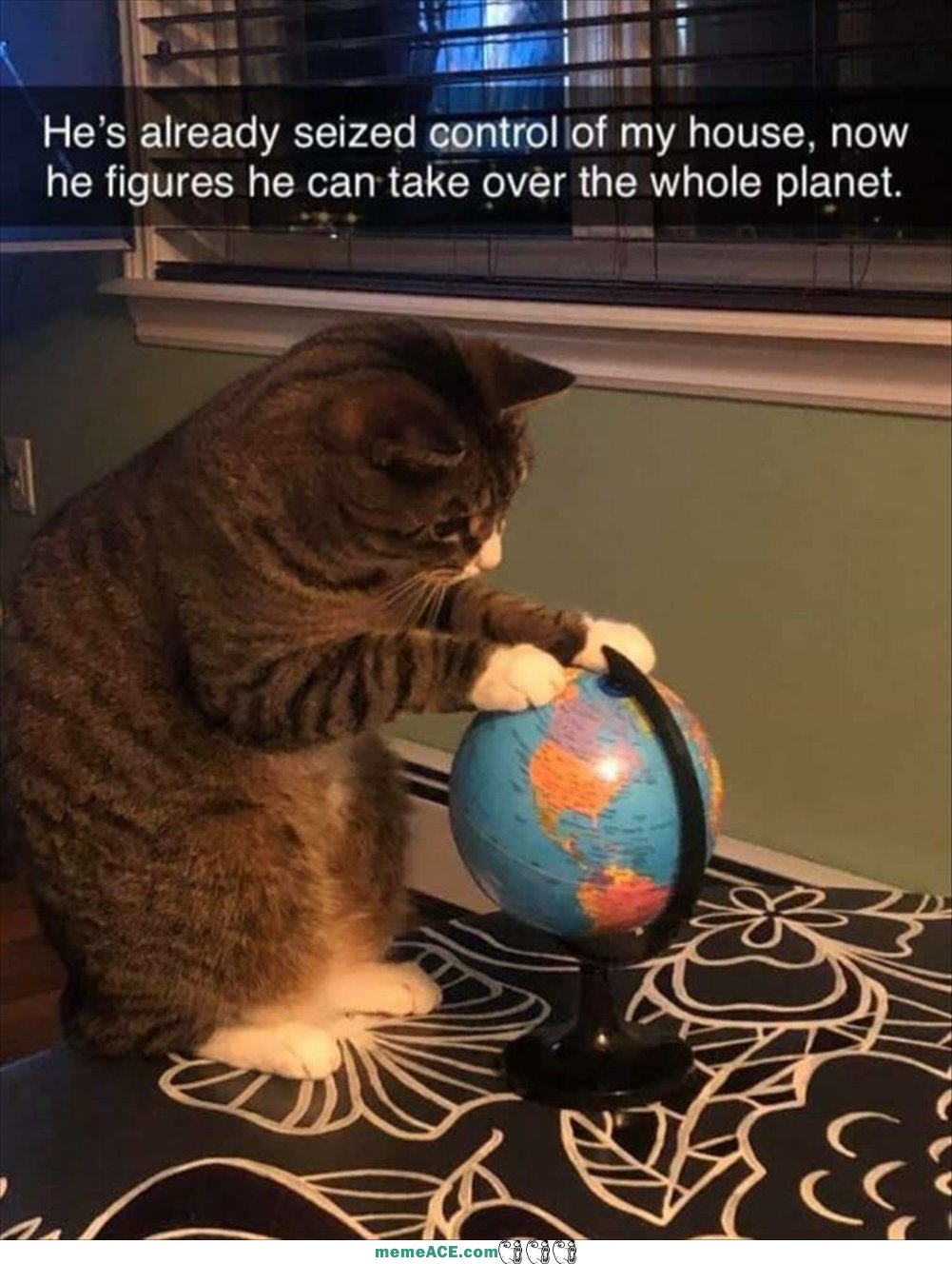 The Whole Planet